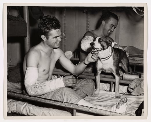 Injured Coast Guard members smile while petting a dog. Two men have their arms in casts