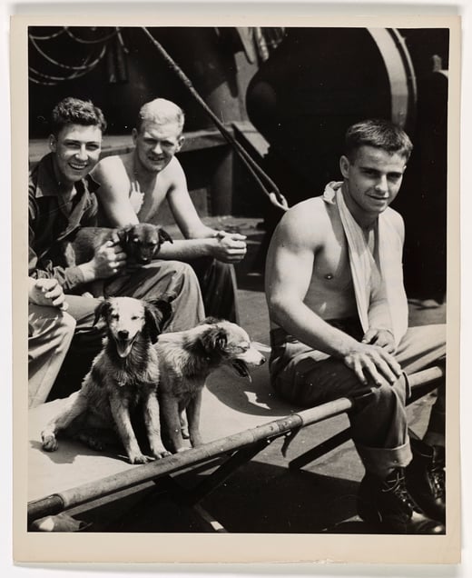 Several men sit on cots aboard a ship while two dogs sit nearby for companionship