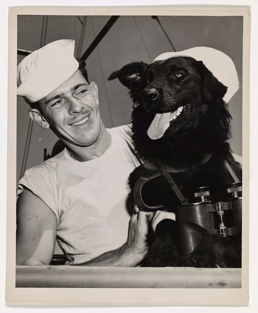Coast Guardsman poses with Kodiak, a dog wearing a hat and binoculars around his neck