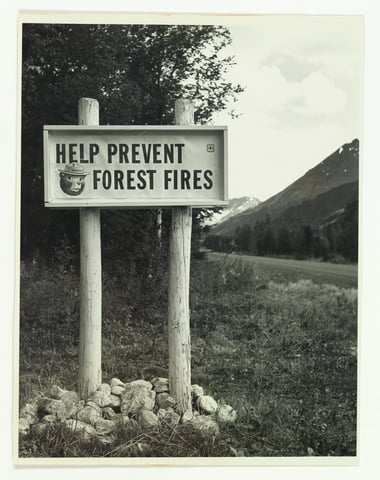 Help Prevent Forest Fires