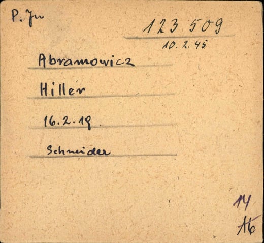 Index file for inmate Hiller Abramowicz