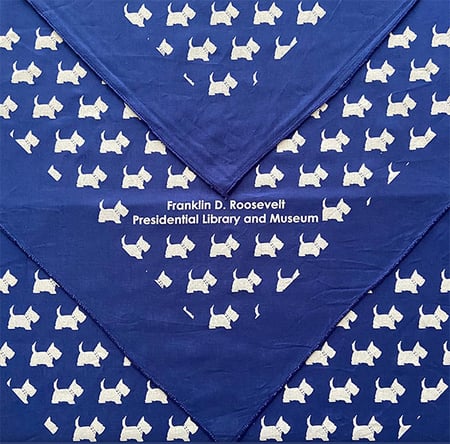 FALA-Blue Bandana
