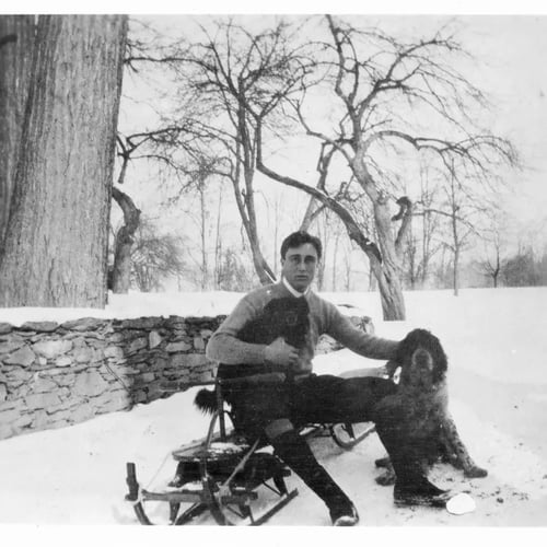 FDR winter wonderland