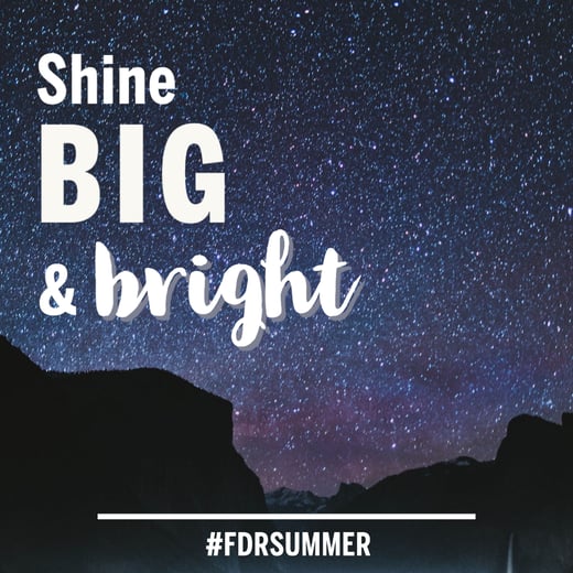 FDRSUM18