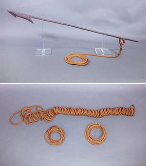 harpoon and rope