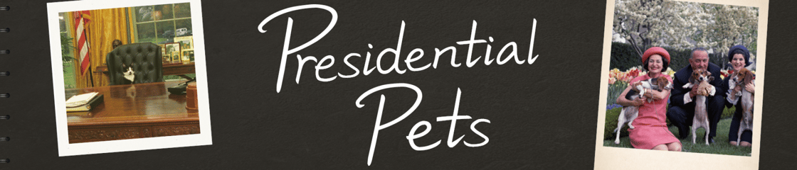 Prez Pets banner image