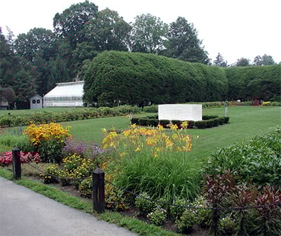 Rose garden