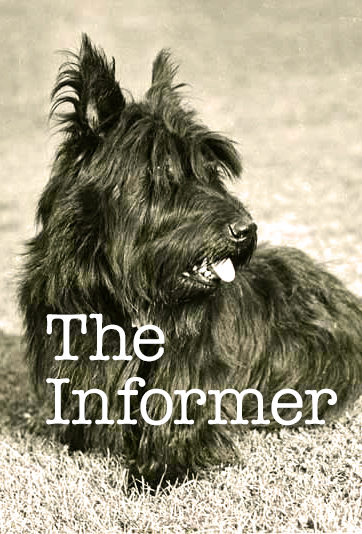 FALA THE INFORMER