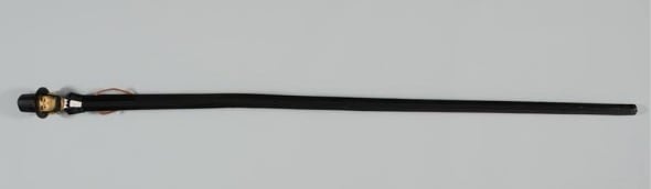 walking stick sideways-1